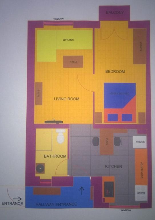 Apartament Downtown 克卢日-纳波卡 客房 照片